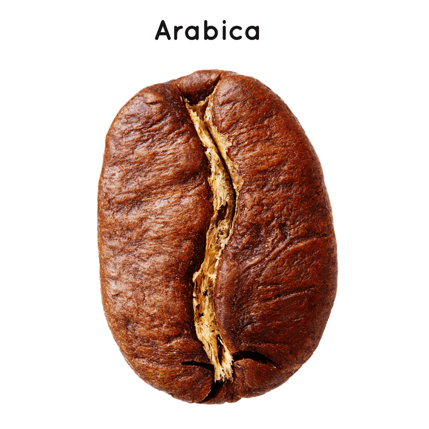 Arabica-coffee-beans