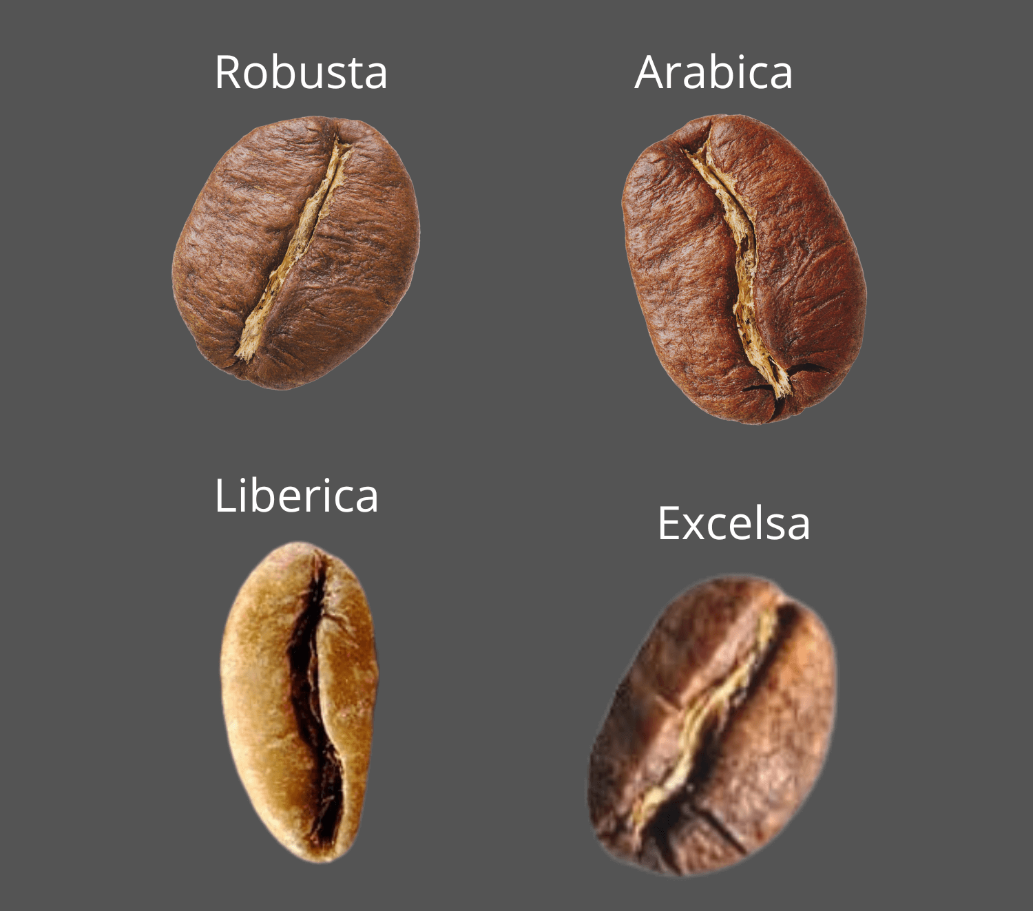 Four types of coffee beans